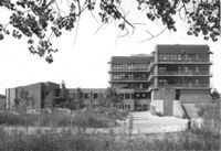 Institut für Allgemeine Botanik. Hamburg 1978-82